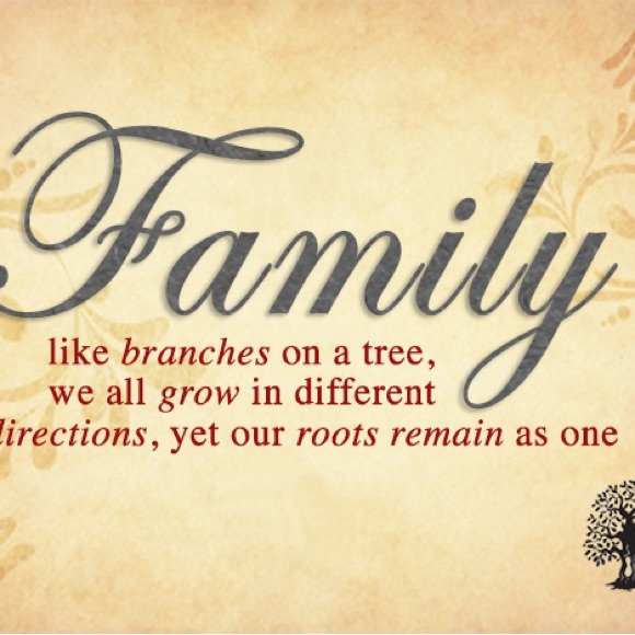 Hi, I’m Stephanie - Picture 7 of 8